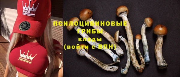 герыч Вяземский