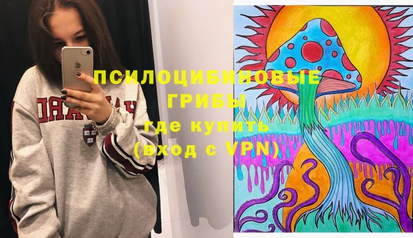 герыч Вяземский