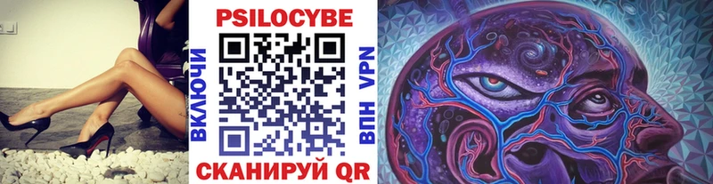 сколько стоит  Железногорск  darknet состав  Псилоцибиновые грибы Psilocybine cubensis 