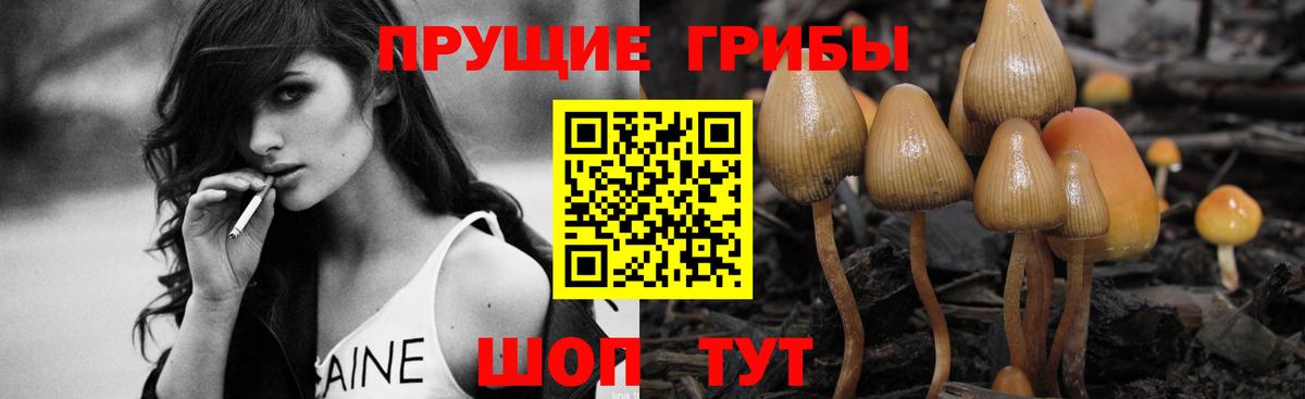 Галлюциногенные грибы GOLDEN TEACHER Железногорск